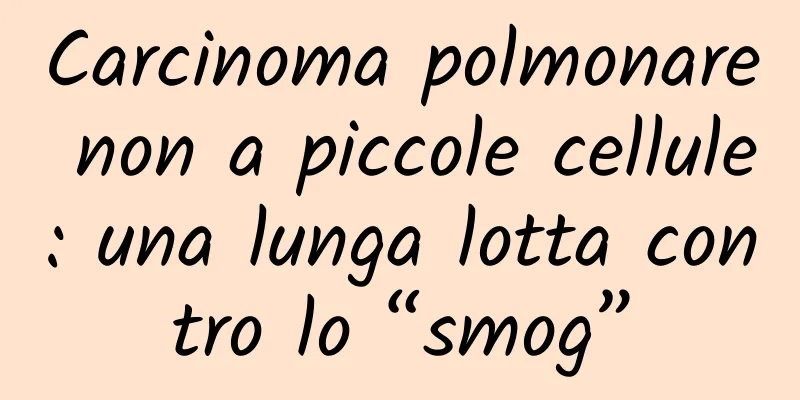 Carcinoma polmonare non a piccole cellule: una lunga lotta contro lo “smog”