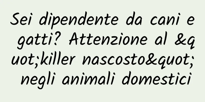 Sei dipendente da cani e gatti? Attenzione al "killer nascosto" negli animali domestici