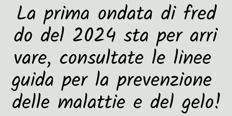 La prima ondata di freddo del 2024 sta per arrivare, consultate le linee guida per la prevenzione delle malattie e del gelo!