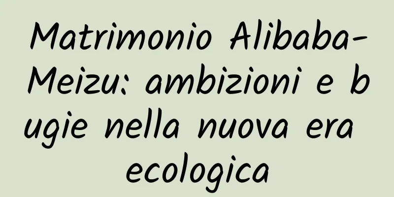 Matrimonio Alibaba-Meizu: ambizioni e bugie nella nuova era ecologica