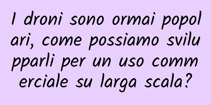 I droni sono ormai popolari, come possiamo svilupparli per un uso commerciale su larga scala?
