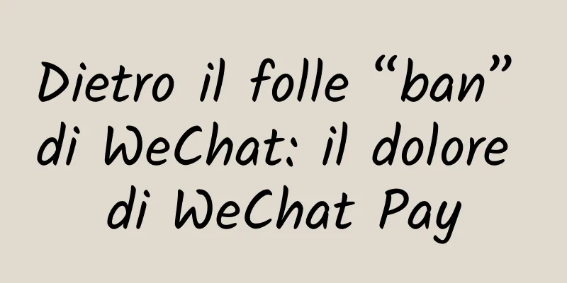 Dietro il folle “ban” di WeChat: il dolore di WeChat Pay