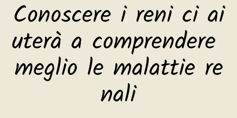 Conoscere i reni ci aiuterà a comprendere meglio le malattie renali