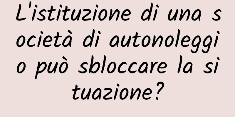 L'istituzione di una società di autonoleggio può sbloccare la situazione?