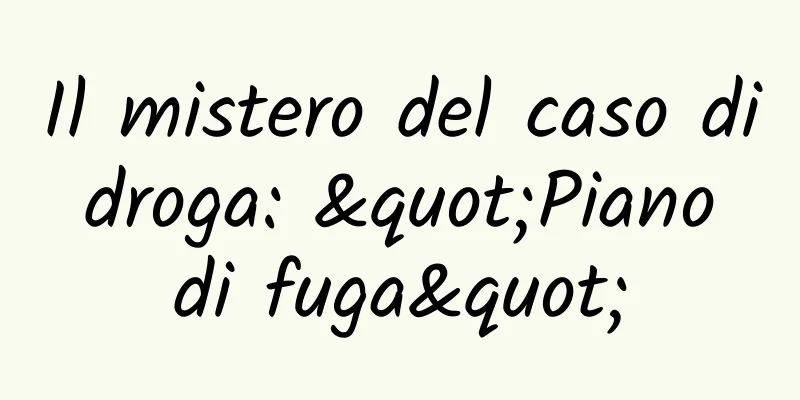 Il mistero del caso di droga: "Piano di fuga"