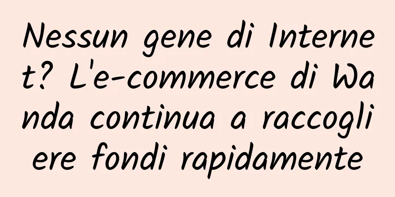 Nessun gene di Internet? L'e-commerce di Wanda continua a raccogliere fondi rapidamente