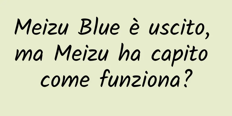 Meizu Blue è uscito, ma Meizu ha capito come funziona?
