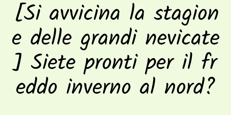 [Si avvicina la stagione delle grandi nevicate] Siete pronti per il freddo inverno al nord?