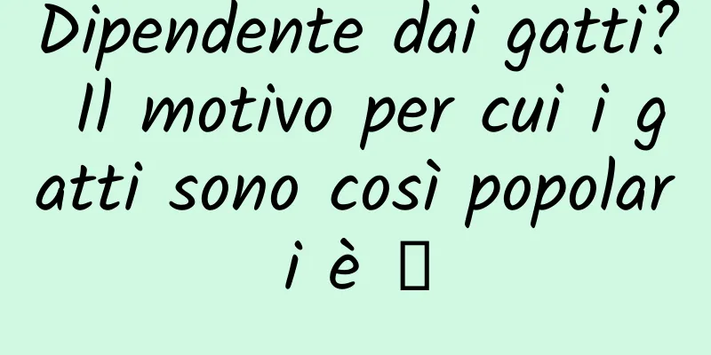 Dipendente dai gatti? Il motivo per cui i gatti sono così popolari è →