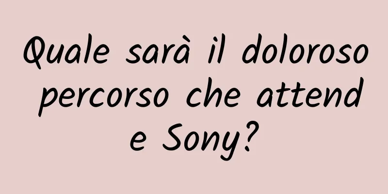 Quale sarà il doloroso percorso che attende Sony?