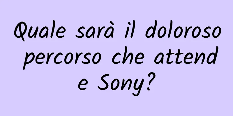 Quale sarà il doloroso percorso che attende Sony?