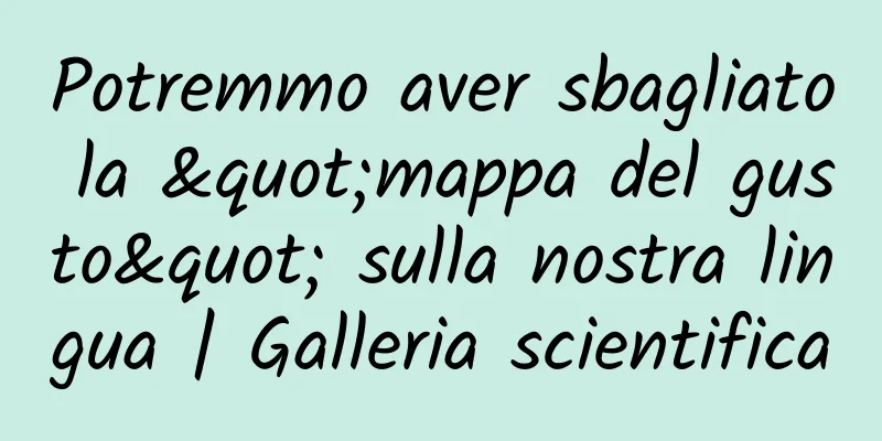 Potremmo aver sbagliato la "mappa del gusto" sulla nostra lingua | Galleria scientifica