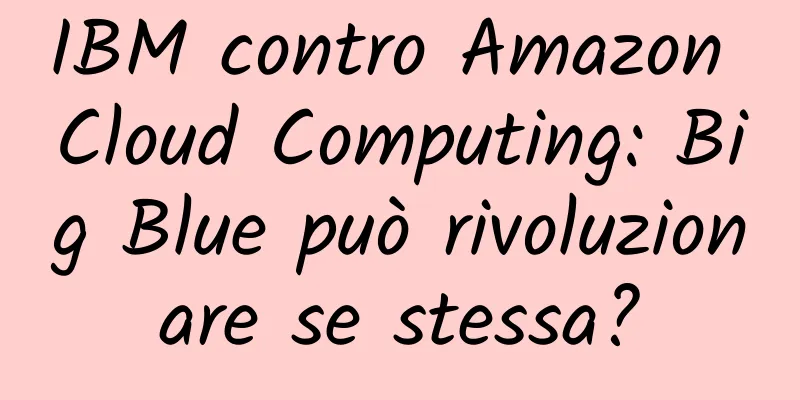 IBM contro Amazon Cloud Computing: Big Blue può rivoluzionare se stessa?