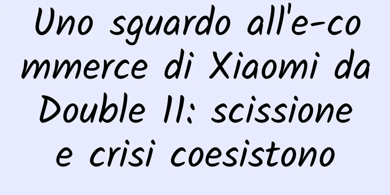 Uno sguardo all'e-commerce di Xiaomi da Double 11: scissione e crisi coesistono