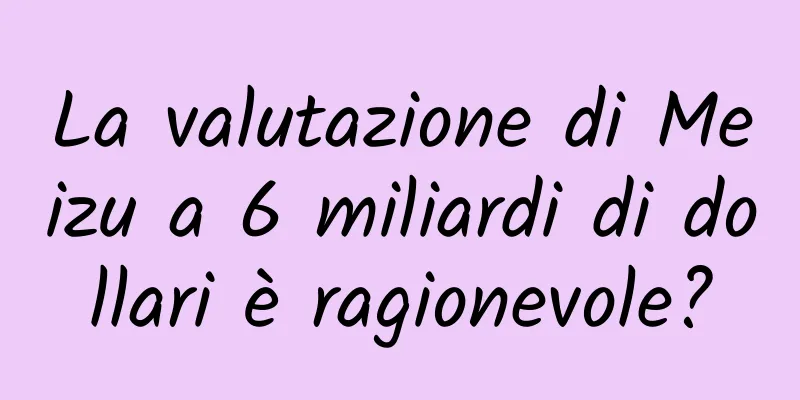 La valutazione di Meizu a 6 miliardi di dollari è ragionevole?