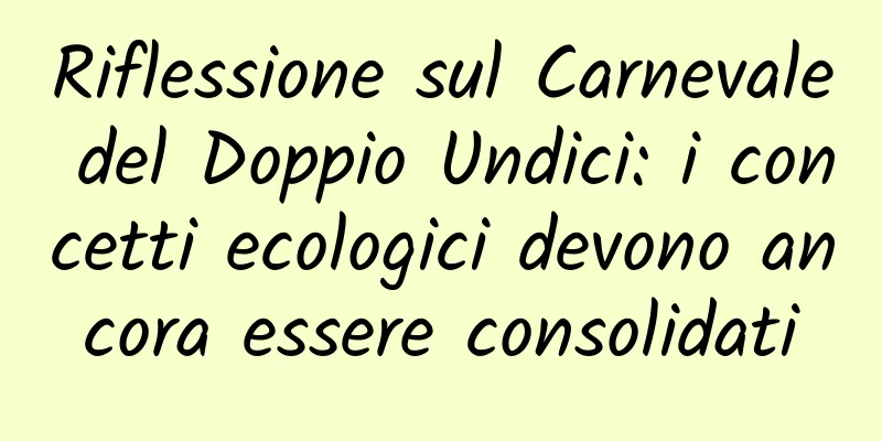 Riflessione sul Carnevale del Doppio Undici: i concetti ecologici devono ancora essere consolidati