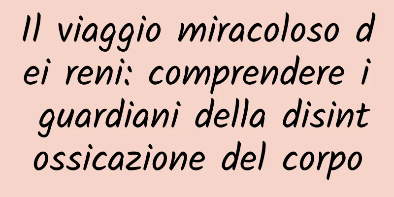 Il viaggio miracoloso dei reni: comprendere i guardiani della disintossicazione del corpo