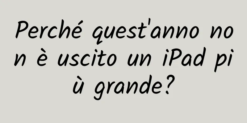 Perché quest'anno non è uscito un iPad più grande?