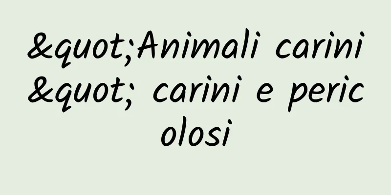 "Animali carini" carini e pericolosi