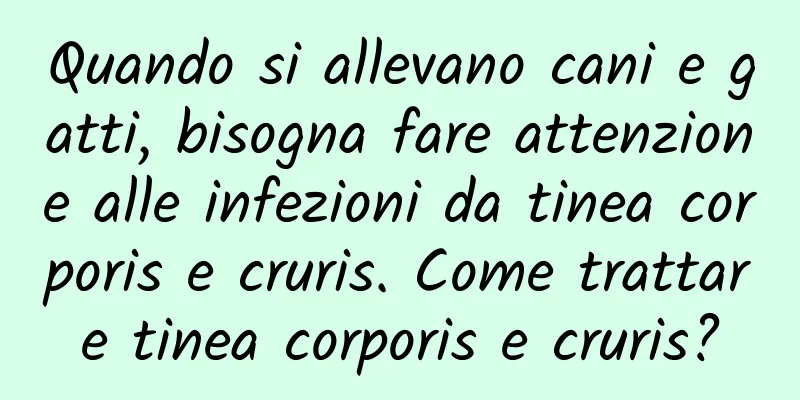 Quando si allevano cani e gatti, bisogna fare attenzione alle infezioni da tinea corporis e cruris. Come trattare tinea corporis e cruris?