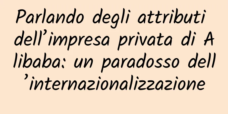 Parlando degli attributi dell’impresa privata di Alibaba: un paradosso dell’internazionalizzazione