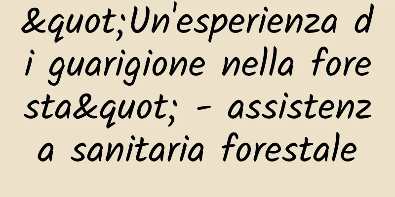 "Un'esperienza di guarigione nella foresta" - assistenza sanitaria forestale