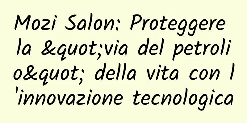 Mozi Salon: Proteggere la "via del petrolio" della vita con l'innovazione tecnologica
