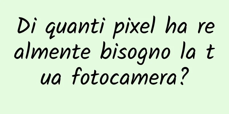Di quanti pixel ha realmente bisogno la tua fotocamera?