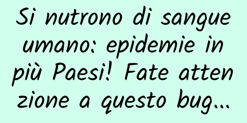Si nutrono di sangue umano: epidemie in più Paesi! Fate attenzione a questo bug...