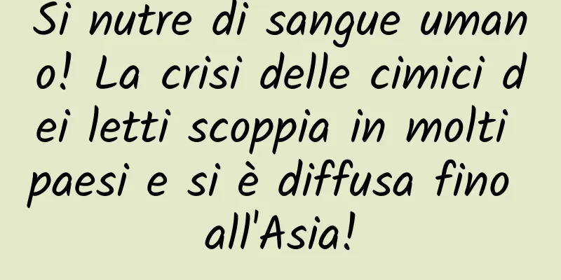 Si nutre di sangue umano! La crisi delle cimici dei letti scoppia in molti paesi e si è diffusa fino all'Asia!
