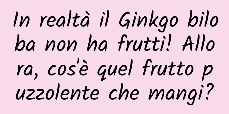 In realtà il Ginkgo biloba non ha frutti! Allora, cos'è quel frutto puzzolente che mangi?