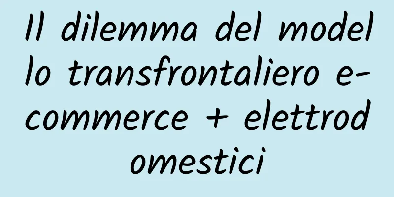 Il dilemma del modello transfrontaliero e-commerce + elettrodomestici