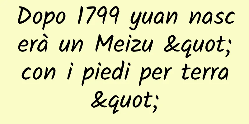 Dopo 1799 yuan nascerà un Meizu "con i piedi per terra"