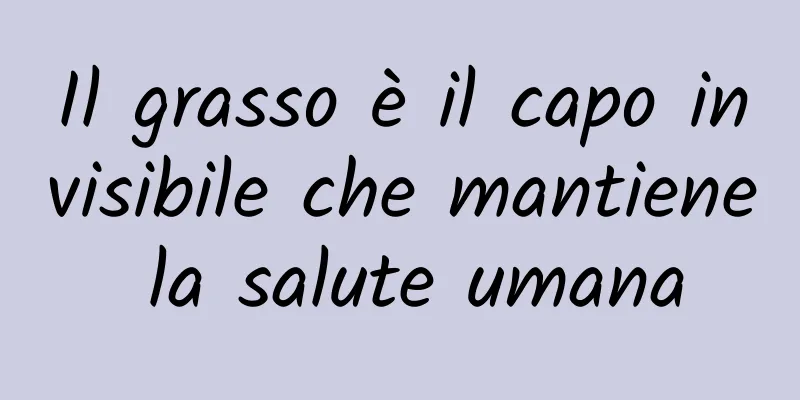 Il grasso è il capo invisibile che mantiene la salute umana