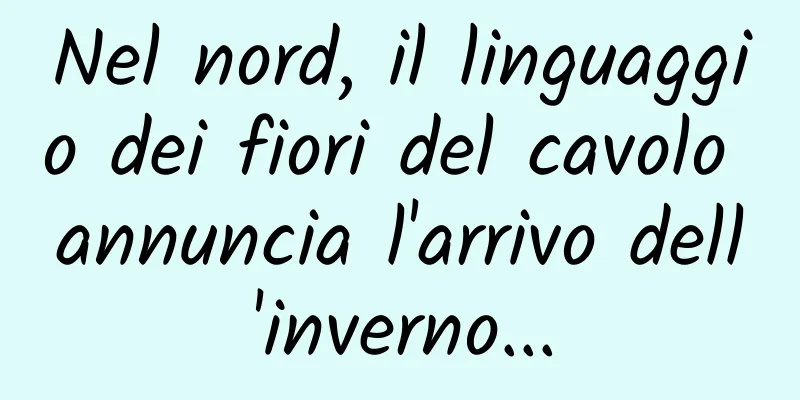 Nel nord, il linguaggio dei fiori del cavolo annuncia l'arrivo dell'inverno...