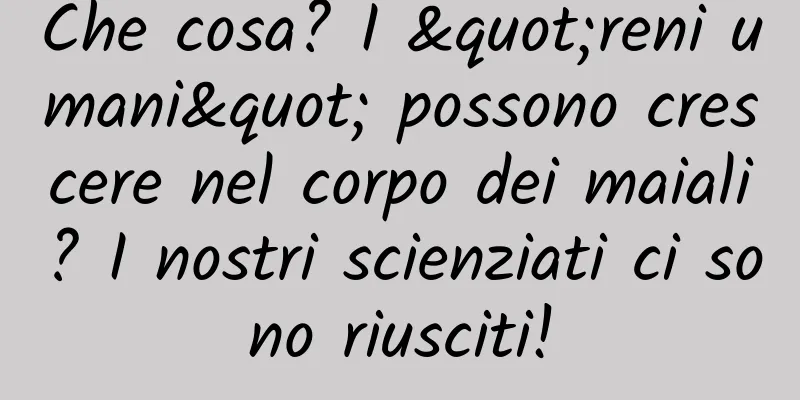 Che cosa? I "reni umani" possono crescere nel corpo dei maiali? I nostri scienziati ci sono riusciti!