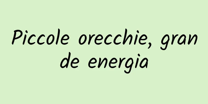 Piccole orecchie, grande energia