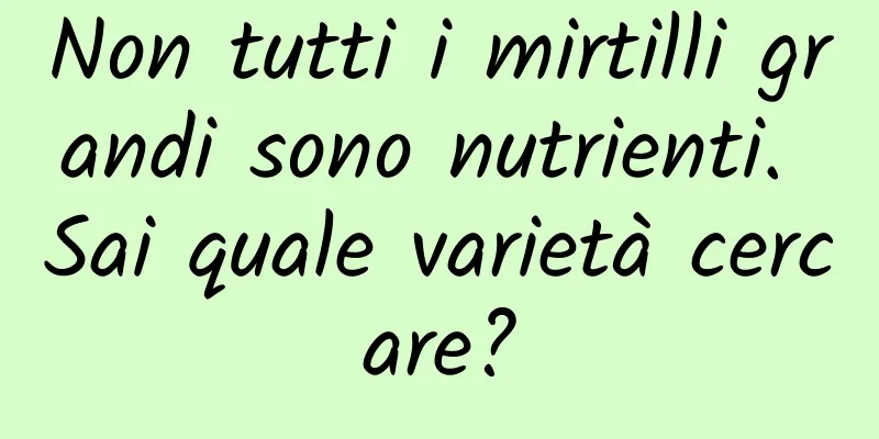 Non tutti i mirtilli grandi sono nutrienti. Sai quale varietà cercare?