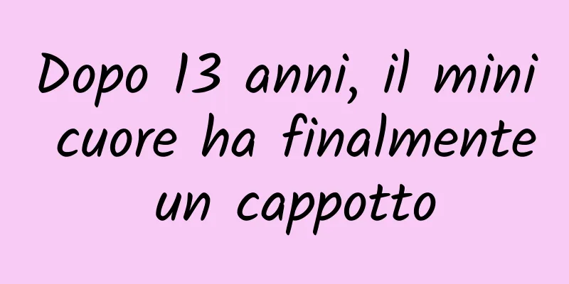 Dopo 13 anni, il mini cuore ha finalmente un cappotto