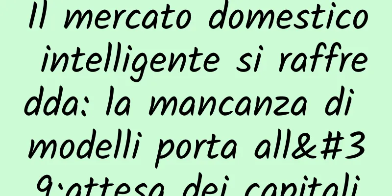 Il mercato domestico intelligente si raffredda: la mancanza di modelli porta all'attesa dei capitali