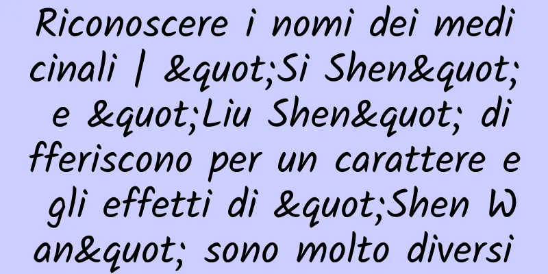 Riconoscere i nomi dei medicinali | "Si Shen" e "Liu Shen" differiscono per un carattere e gli effetti di "Shen Wan" sono molto diversi