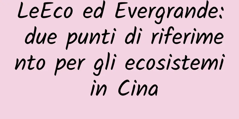 LeEco ed Evergrande: due punti di riferimento per gli ecosistemi in Cina