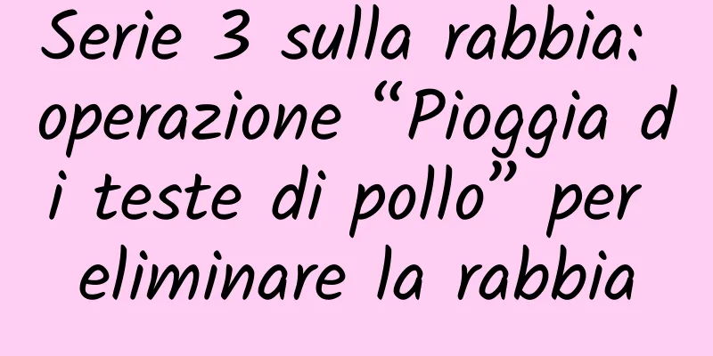 Serie 3 sulla rabbia: operazione “Pioggia di teste di pollo” per eliminare la rabbia