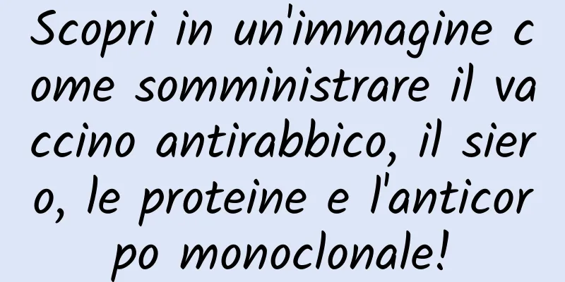 Scopri in un'immagine come somministrare il vaccino antirabbico, il siero, le proteine ​​e l'anticorpo monoclonale!