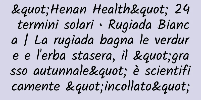 "Henan Health" 24 termini solari • Rugiada Bianca | La rugiada bagna le verdure e l'erba stasera, il "grasso autunnale" è scientificamente "incollato"