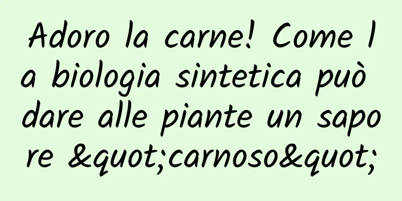 Adoro la carne! Come la biologia sintetica può dare alle piante un sapore "carnoso"
