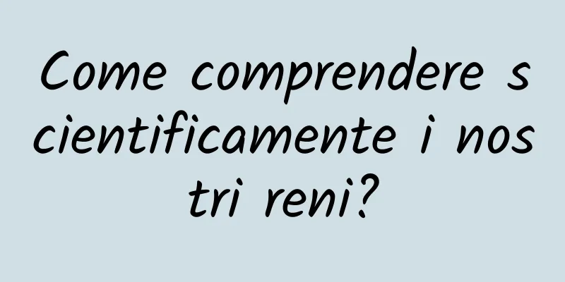 Come comprendere scientificamente i nostri reni?