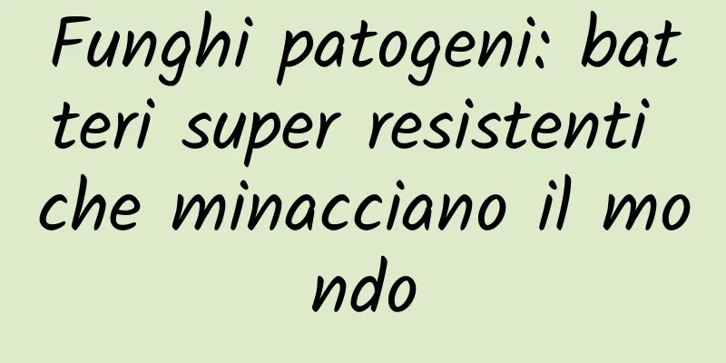 Funghi patogeni: batteri super resistenti che minacciano il mondo