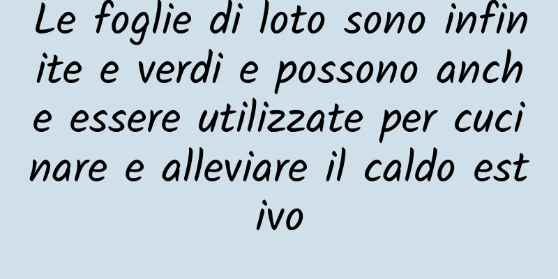 Le foglie di loto sono infinite e verdi e possono anche essere utilizzate per cucinare e alleviare il caldo estivo