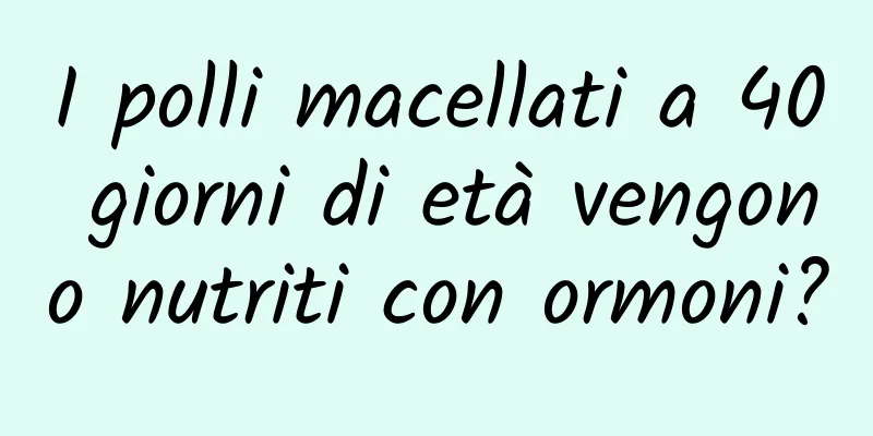 I polli macellati a 40 giorni di età vengono nutriti con ormoni?